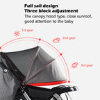 Twins baby stroller,